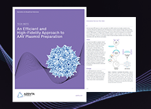 Tech Note: An Efficient and High-Fidelity Approach to AAV Plasmid Preparation