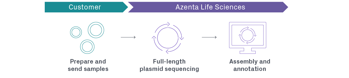 Whole Plasmid Sequencing | Plasmid-EZ | GENEWIZ From Azenta