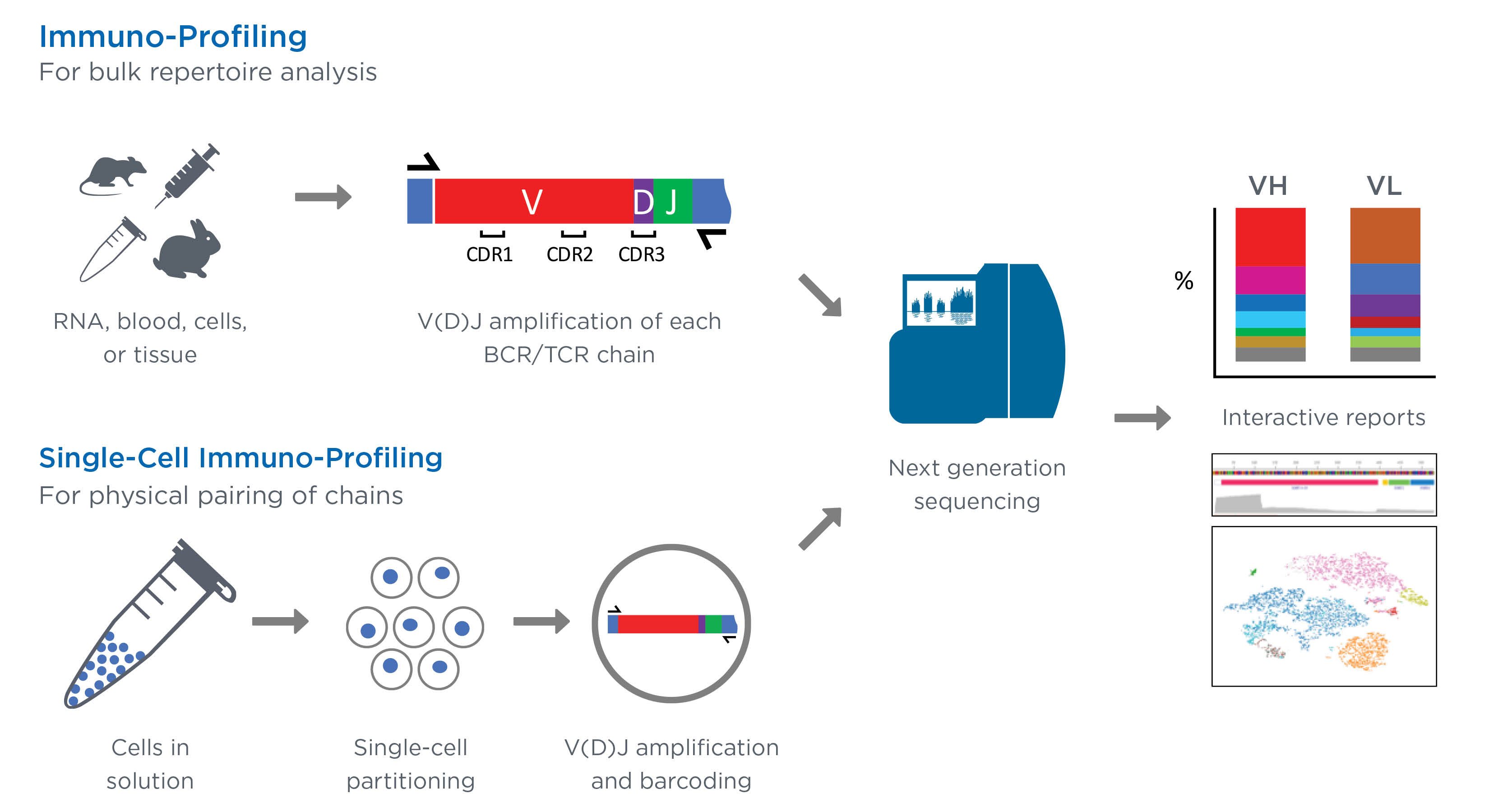 Immune Profiling | GENEWIZ From Azenta